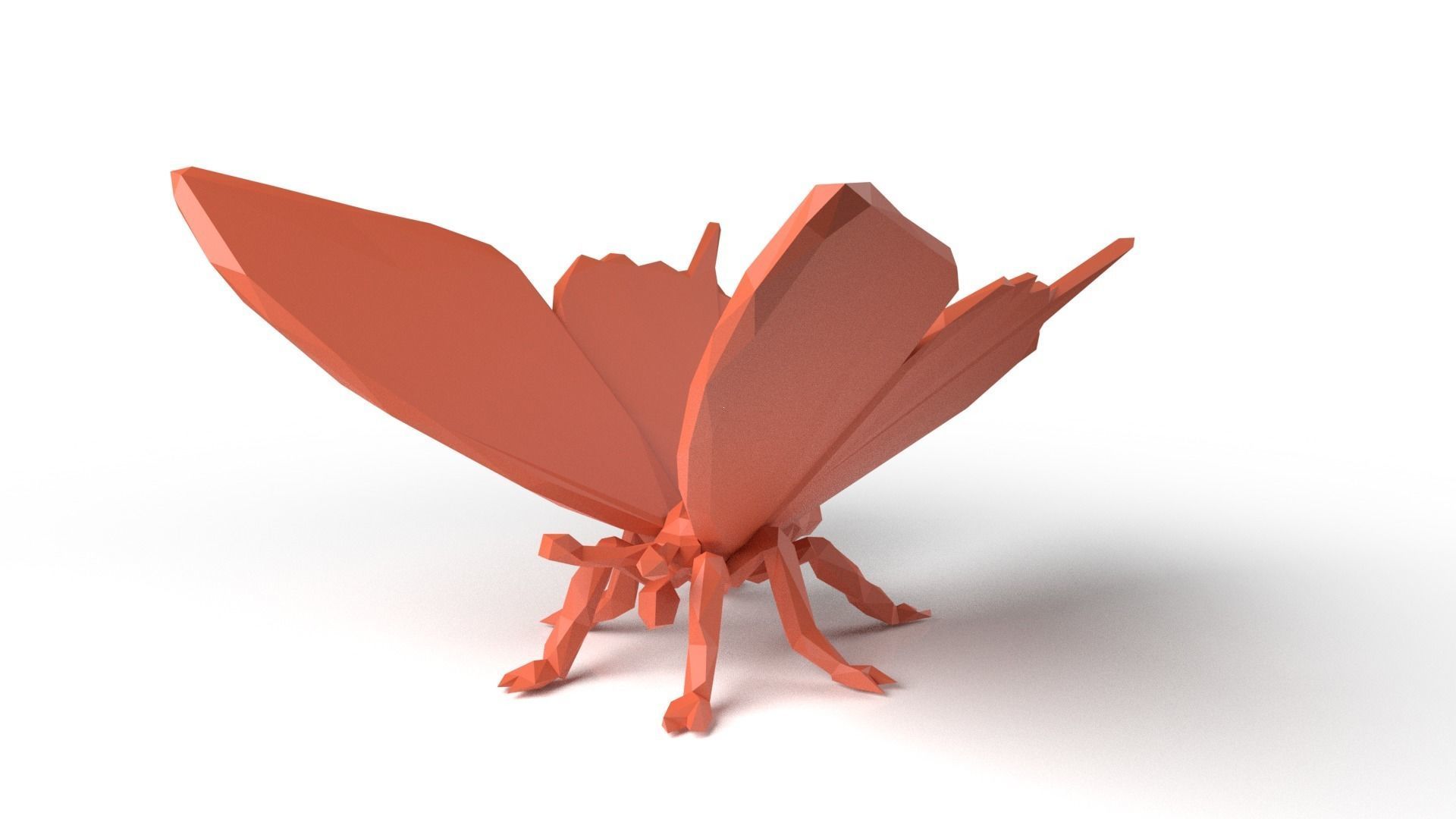 Butterfly Low Poligonal Low-poly 3D model_6