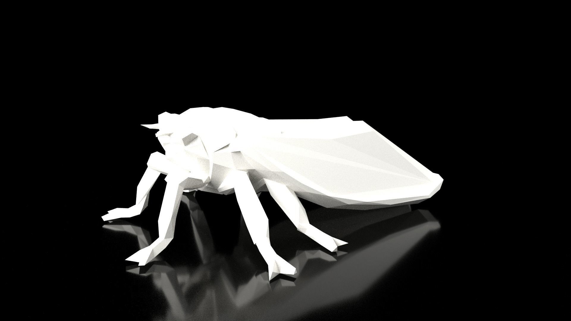 Cicada Low Poligonal