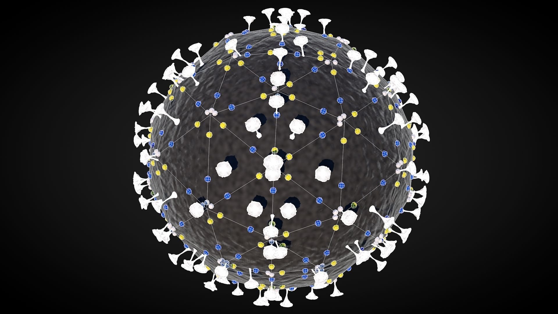 Corona Virus 3D model_12