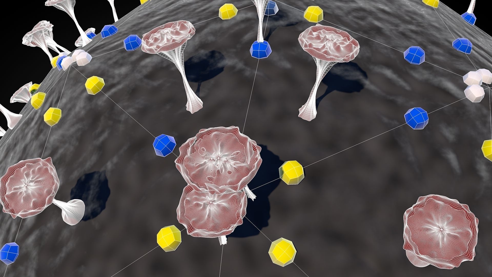 Corona Virus 3D model_14