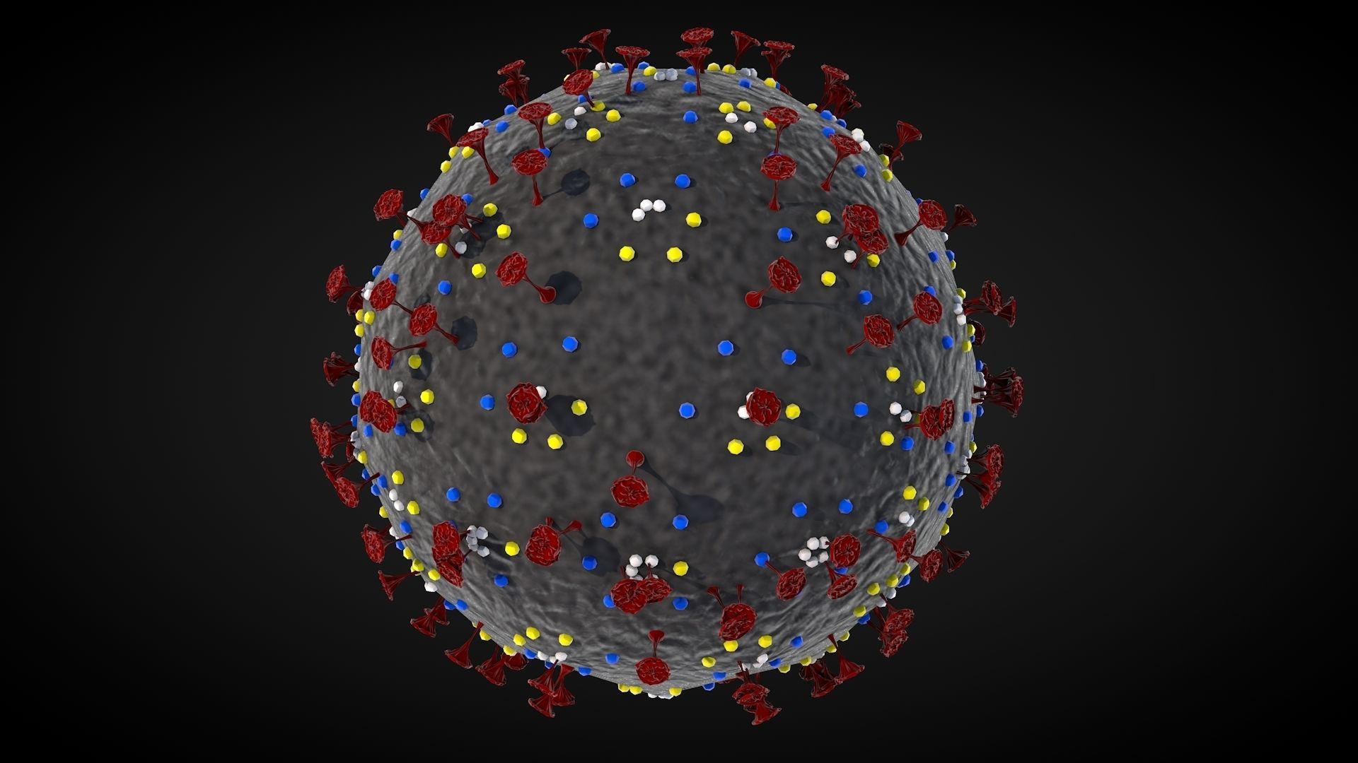 Corona Virus 3D model_11