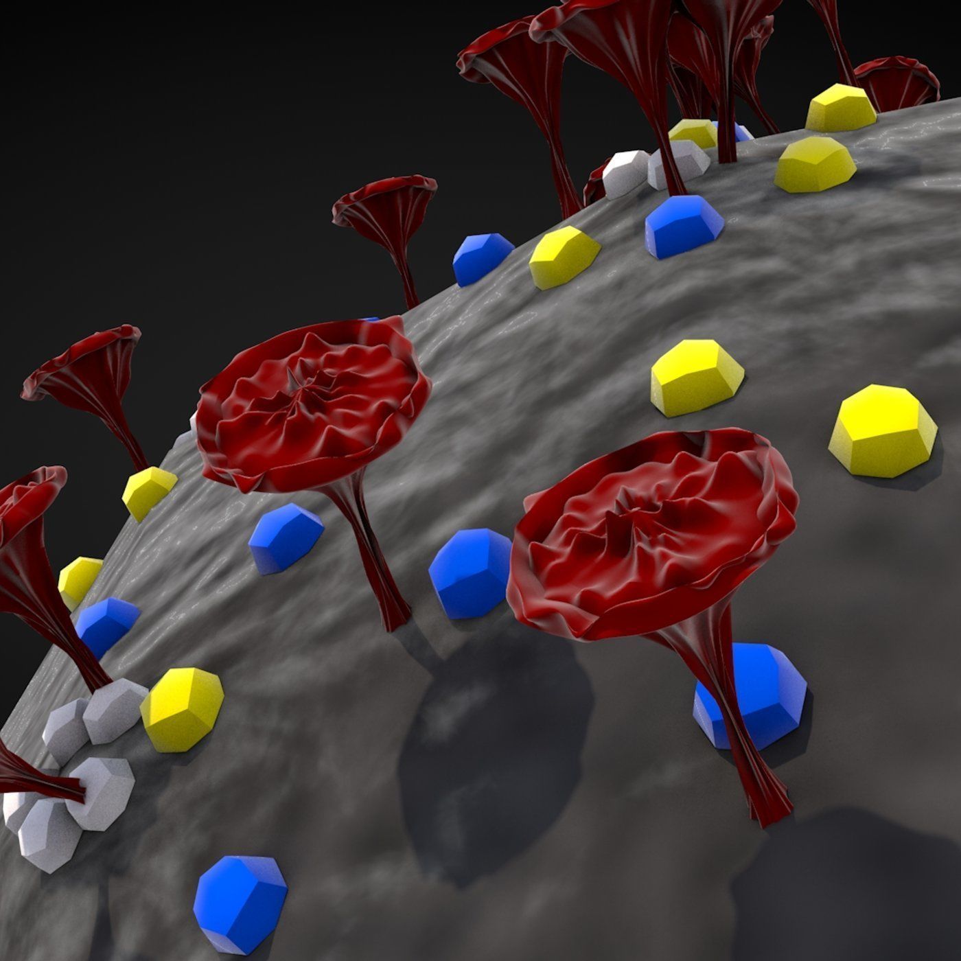 Corona Virus 3D model_6