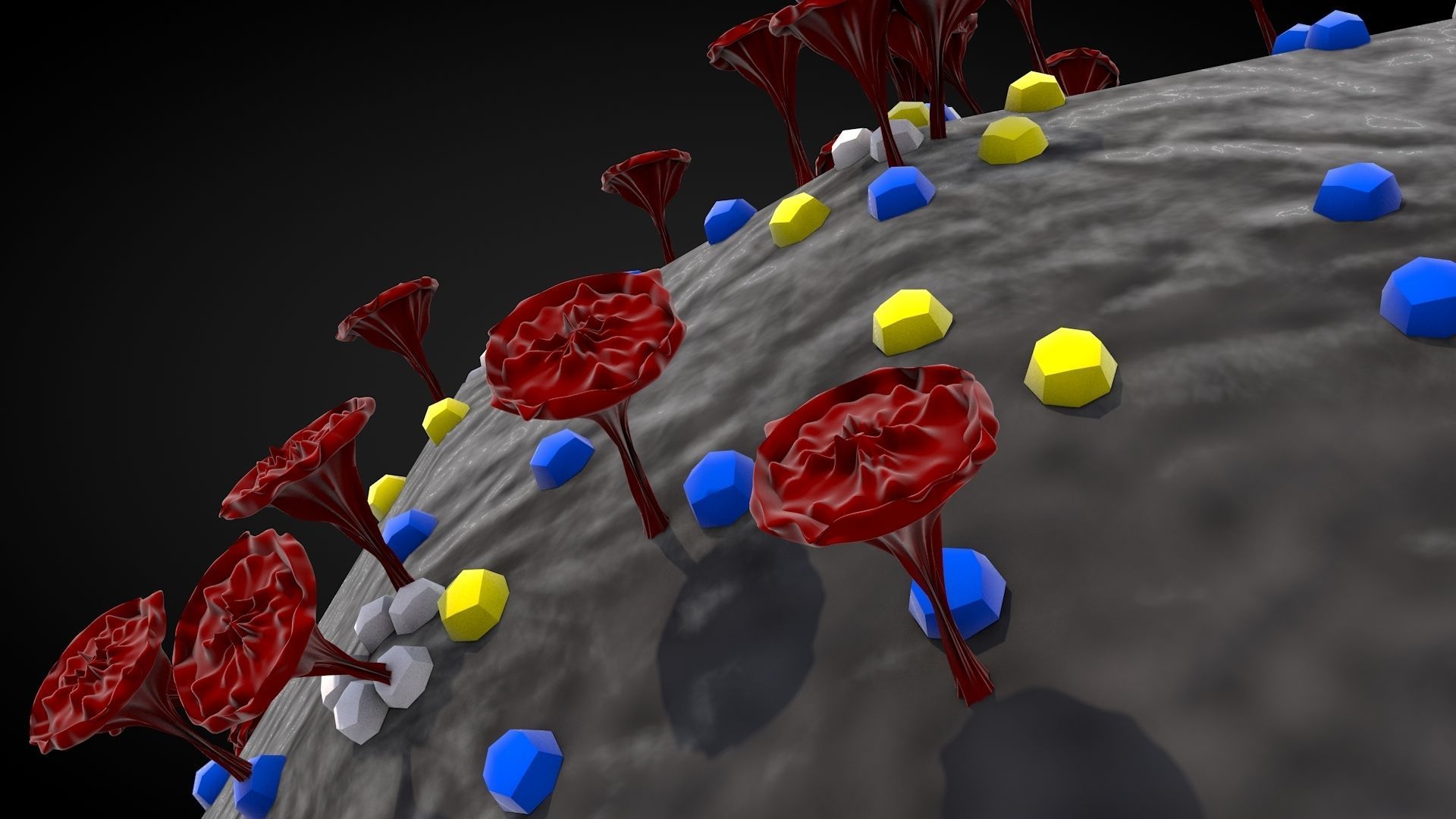 Corona Virus 3D model_9