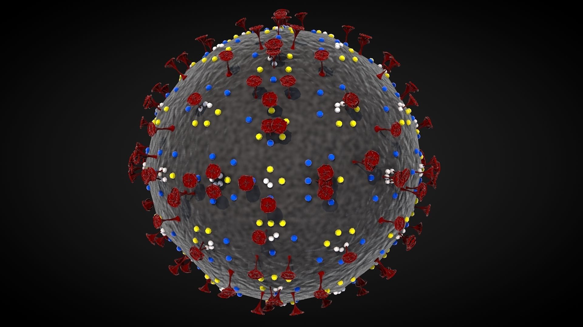 Corona Virus 3D model_8