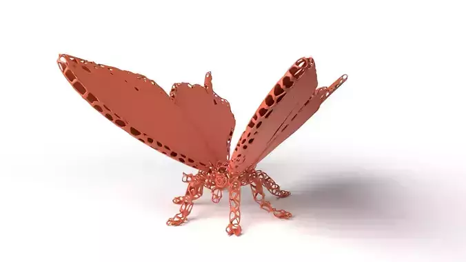 Butterfly Voronoi