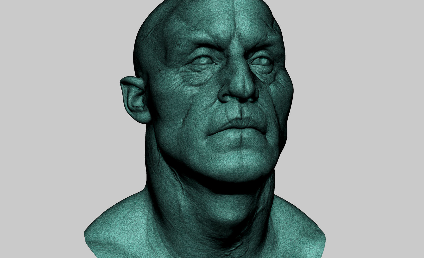 Creature Head Studies 3D model_16