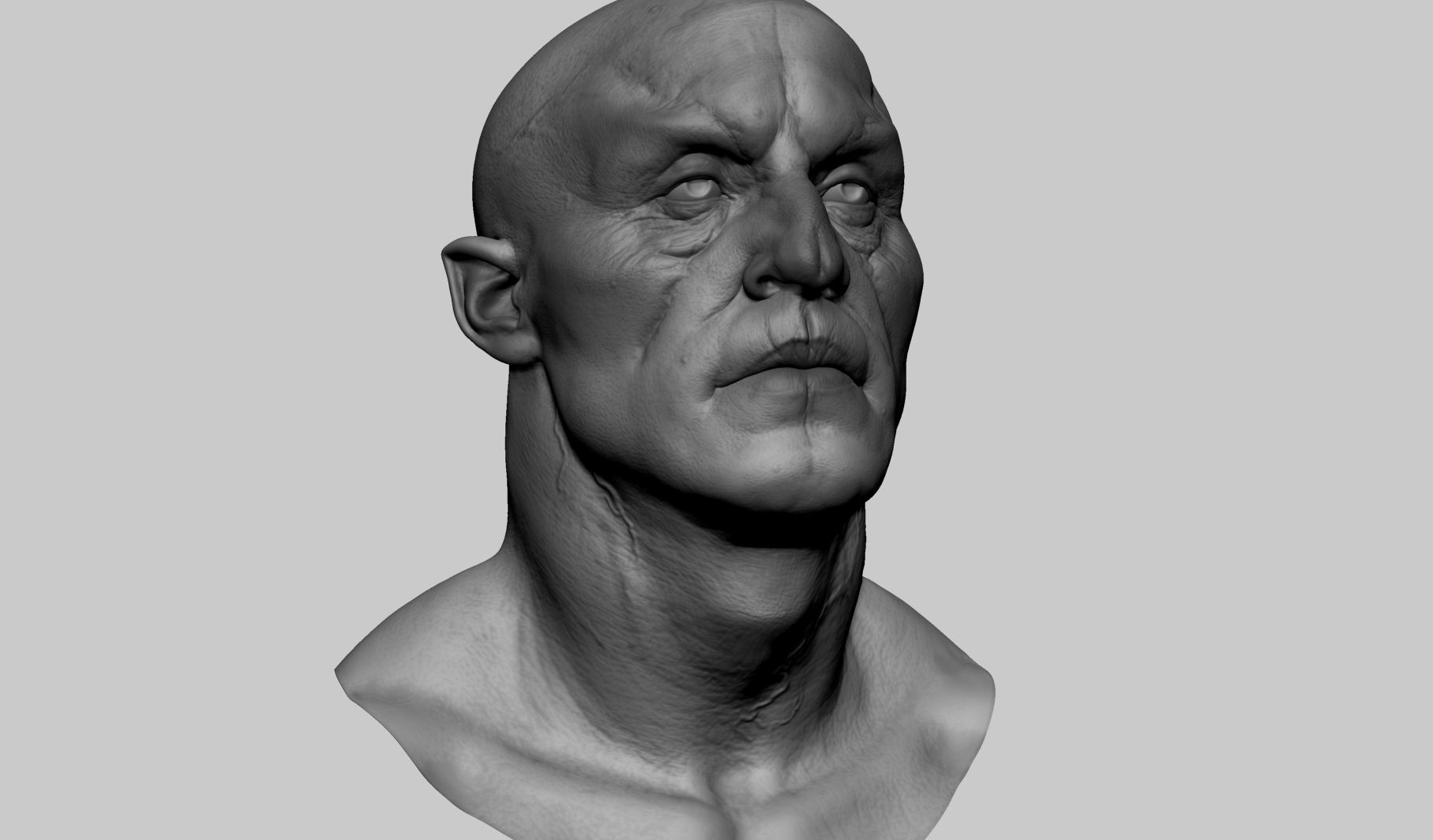Creature Head Studies 3D model_10