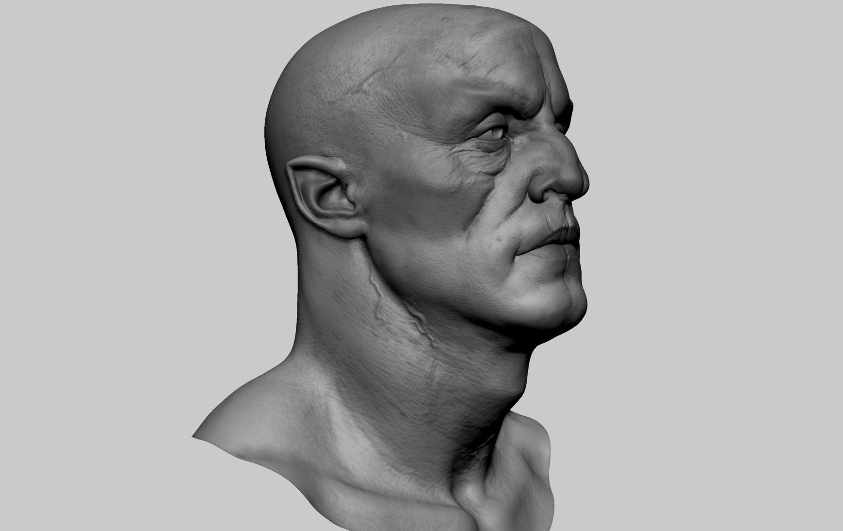 Creature Head Studies 3D model_11