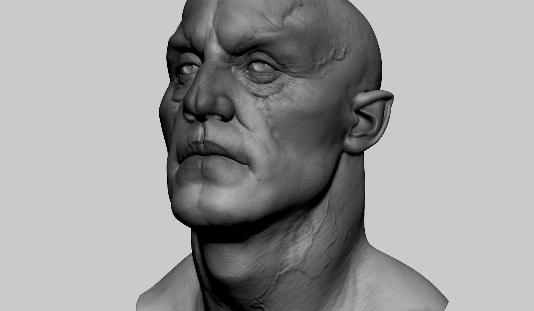 Creature Head Studies 3D model_13