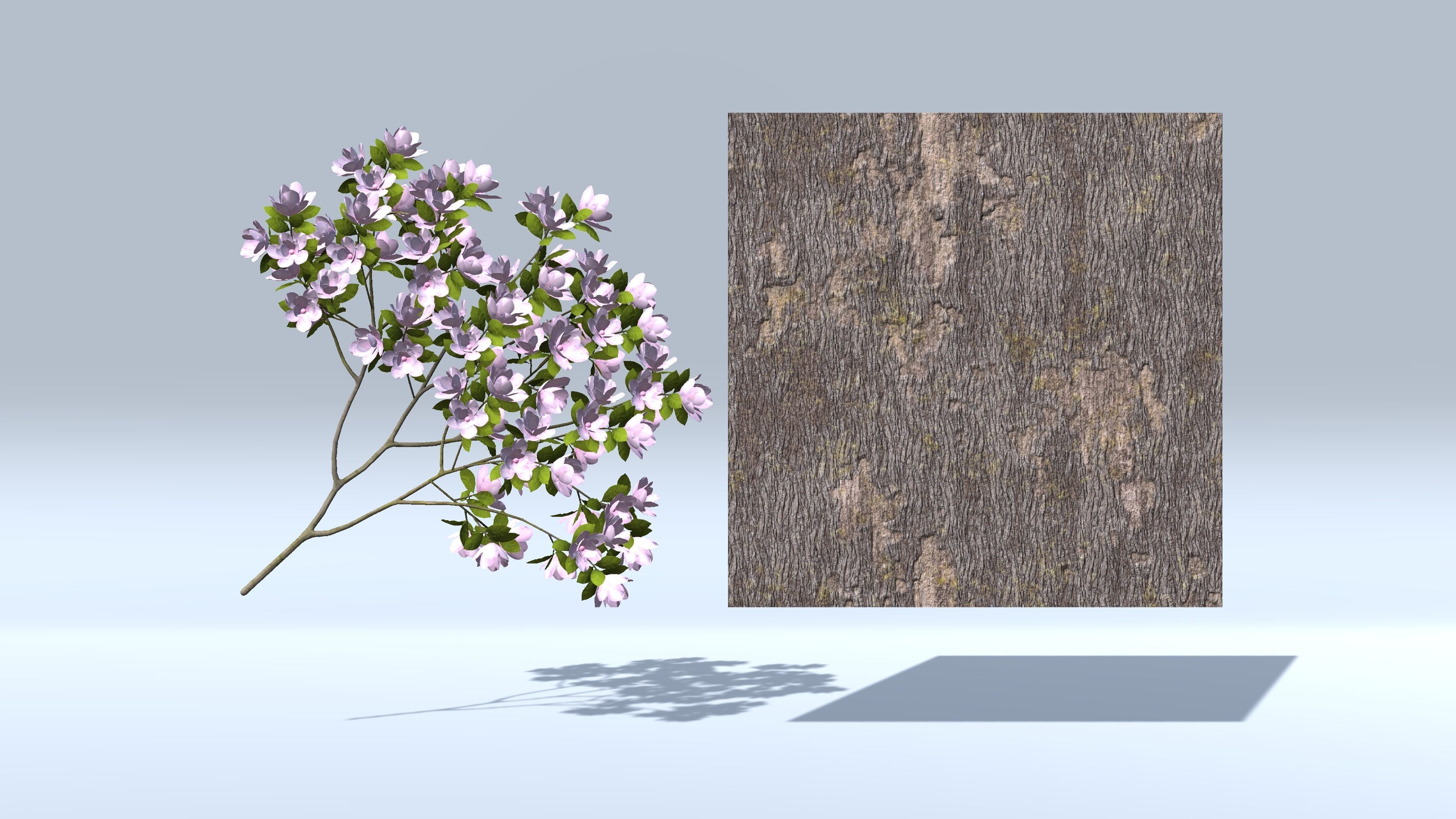 Magnolia Tree Low-poly 3D model_6