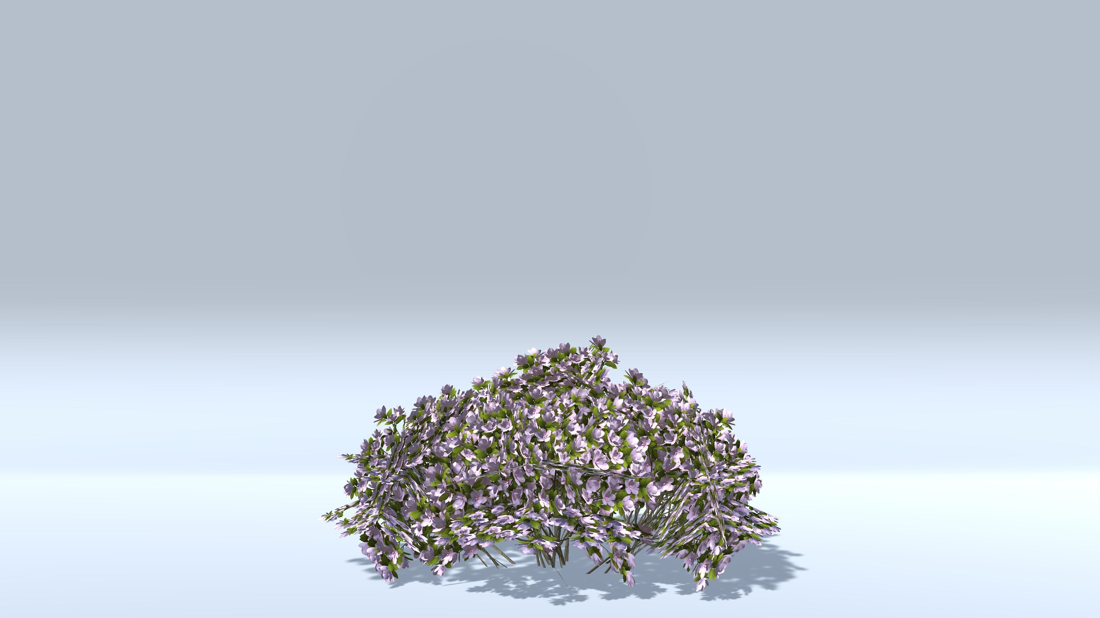Magnolia Tree Low-poly 3D model_3