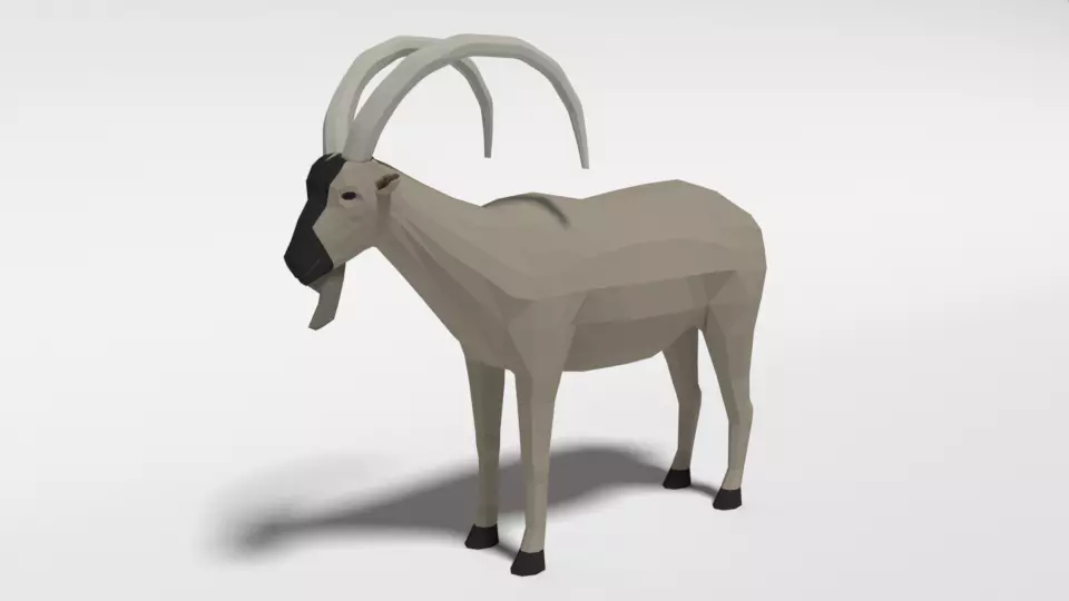 Low Poly Cartoon Cretan Wild Goat Kri-Kri Low-poly 3D model
