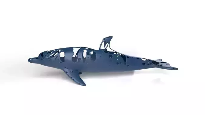 Dolphin Dust Voronoi