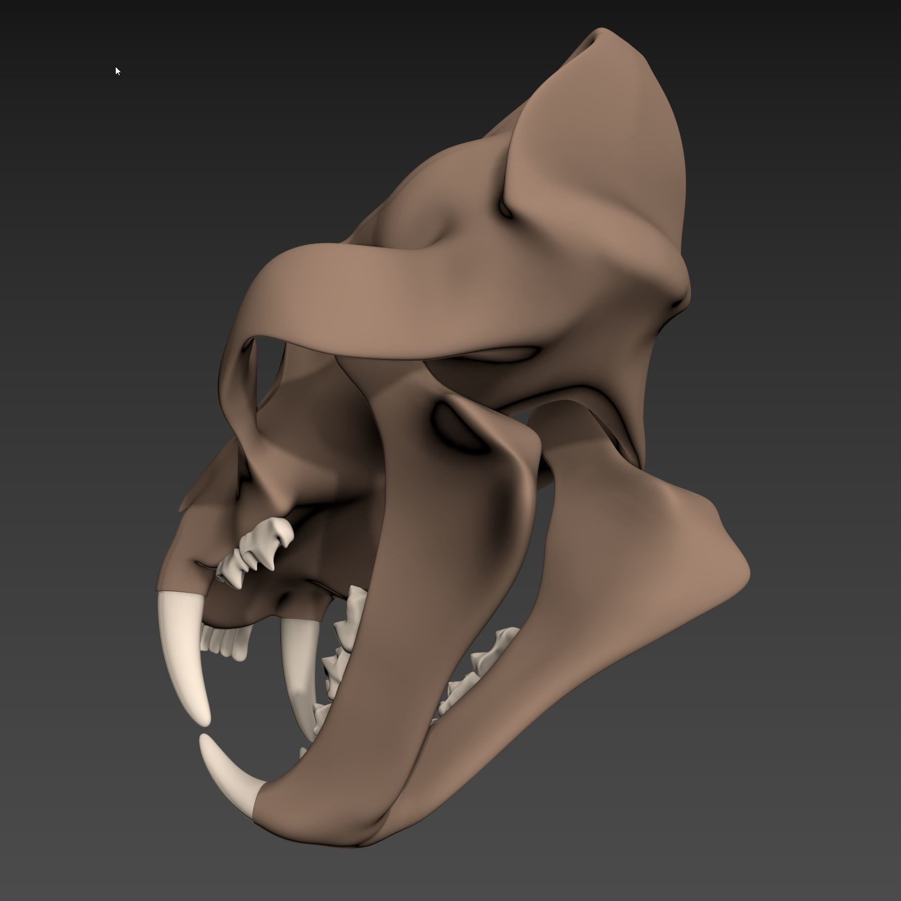 Tiger Skull Low-poly 3D model_4