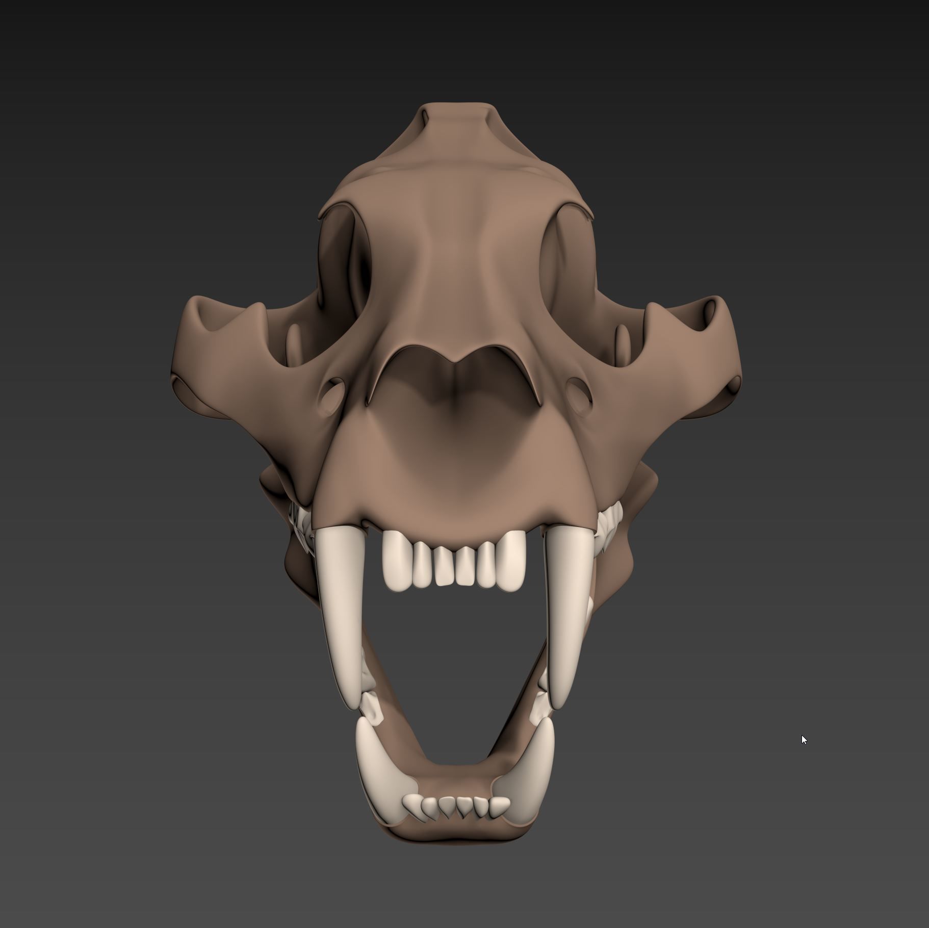 Tiger Skull Low-poly 3D model_2