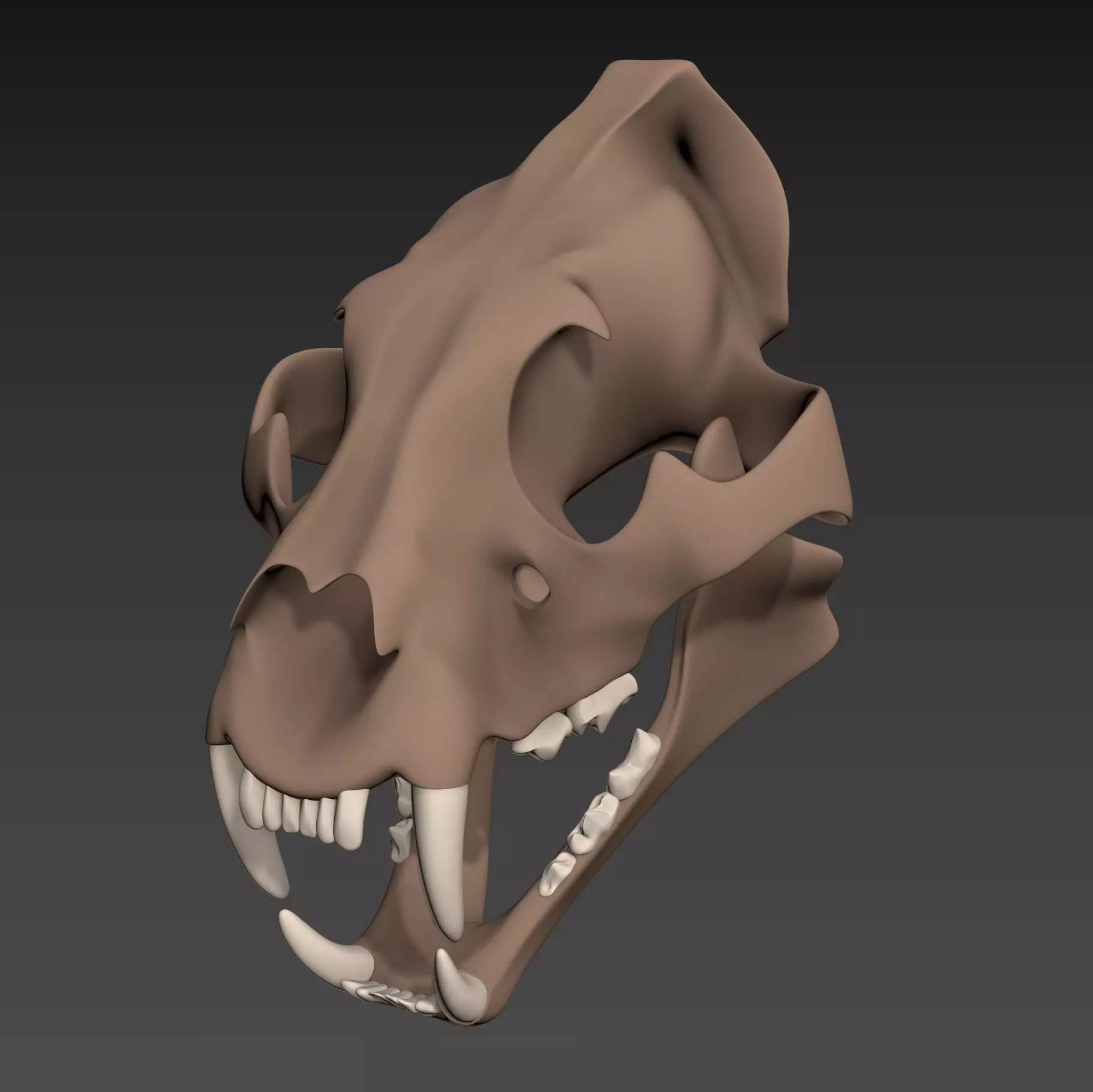 Tiger Skull Low-poly 3D model_0