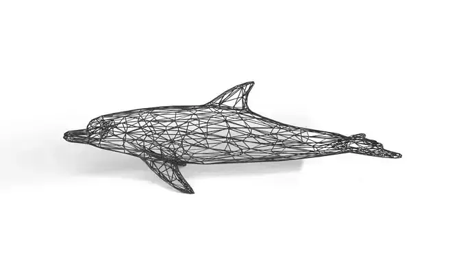 Dolphin Wireframe