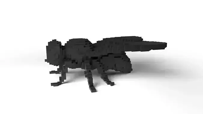 Fly Minecraft Voxel Low-poly 3D model