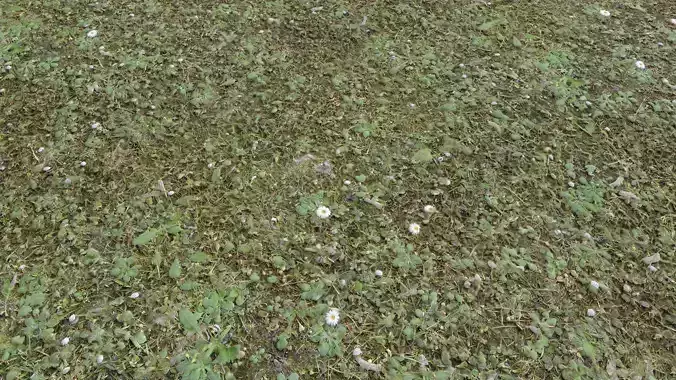 Forest Terrain Pack 26