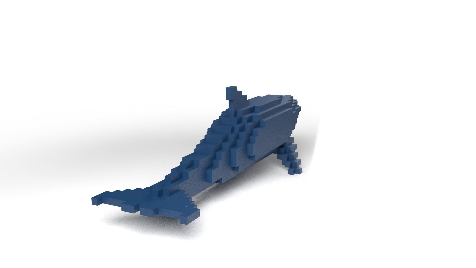 Dolphin Minecraft Voxel Low-poly 3D model_4