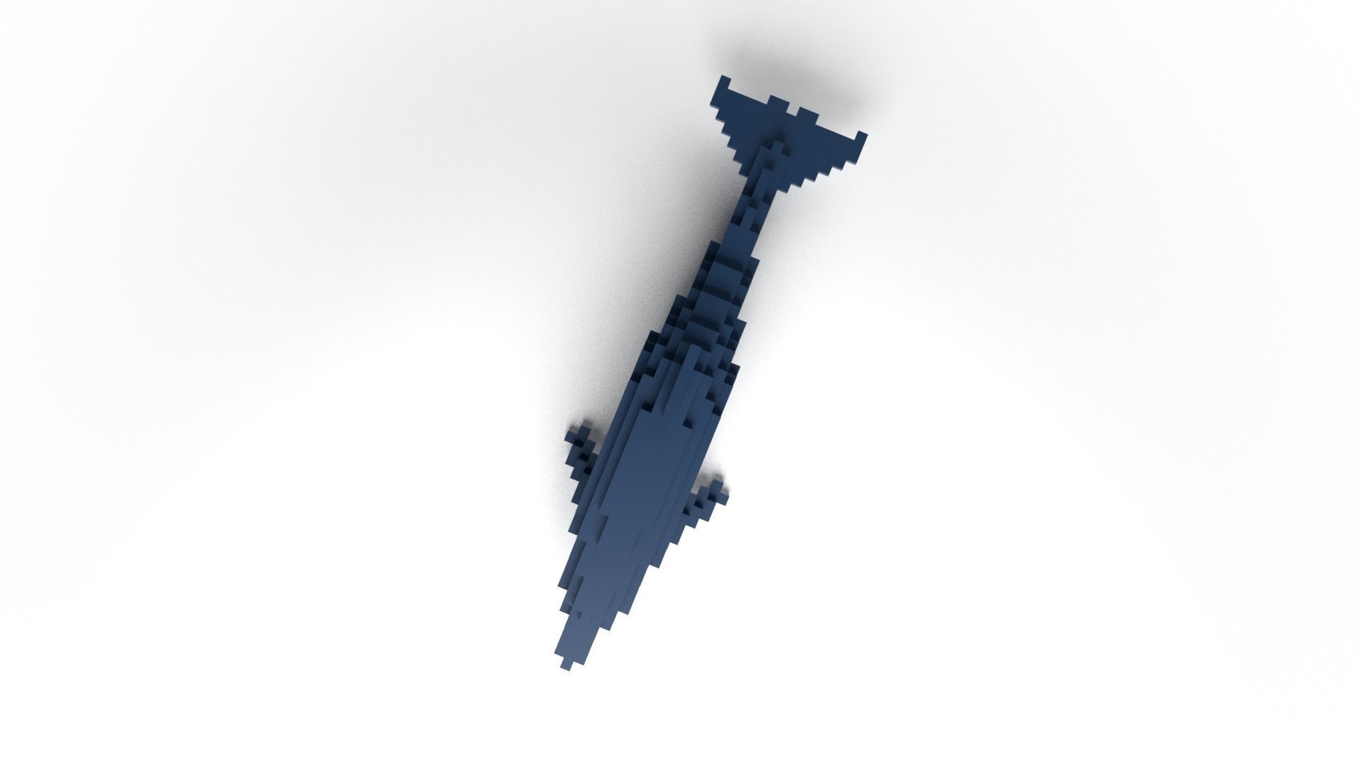 Dolphin Minecraft Voxel Low-poly 3D model_7
