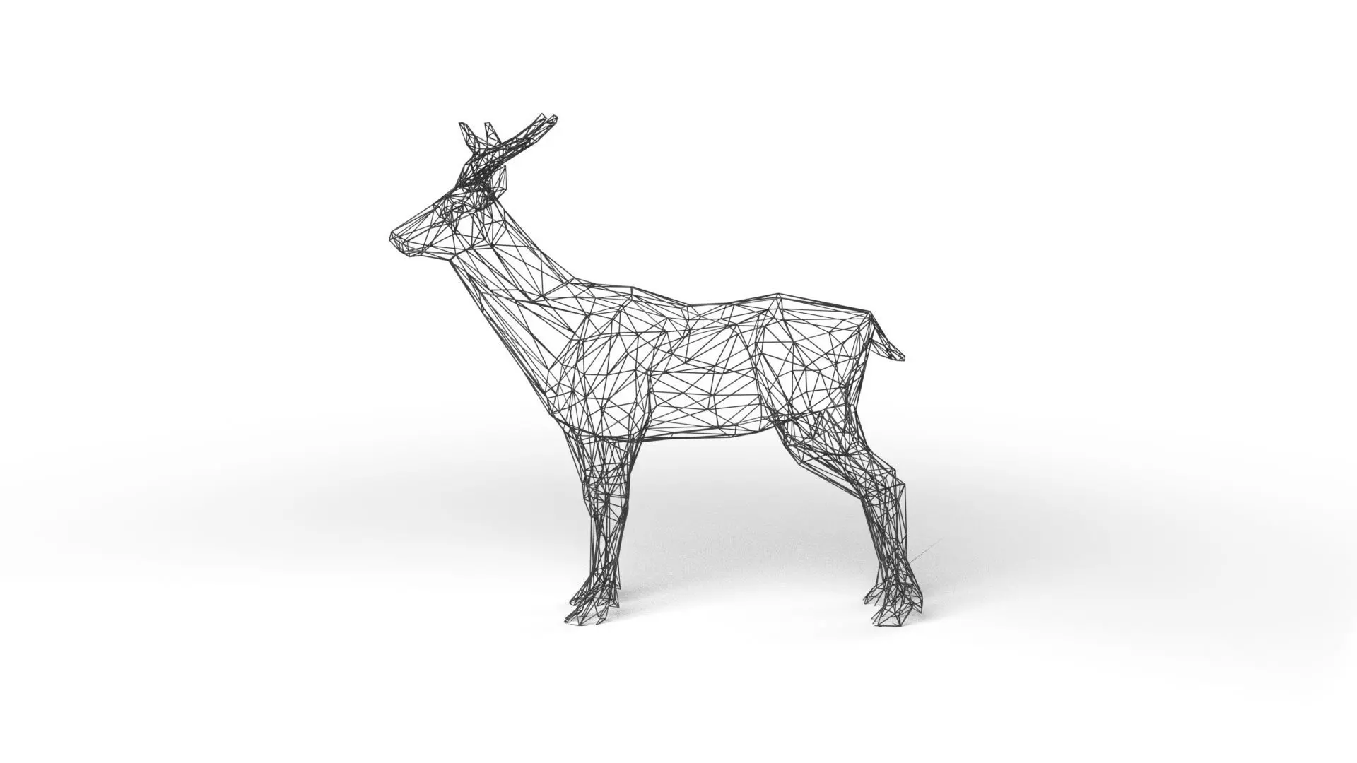 Deer Wireframe Low-poly 3D model