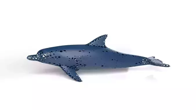Dolphin Voronoi