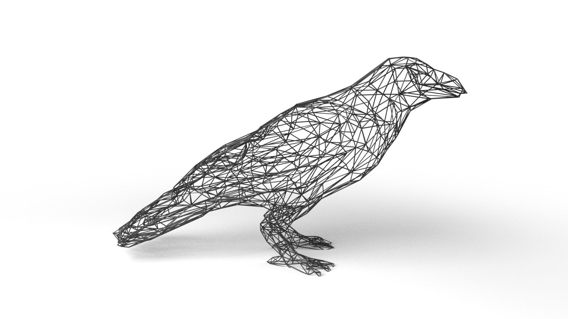 Crow Wireframe Low-poly 3D model_3