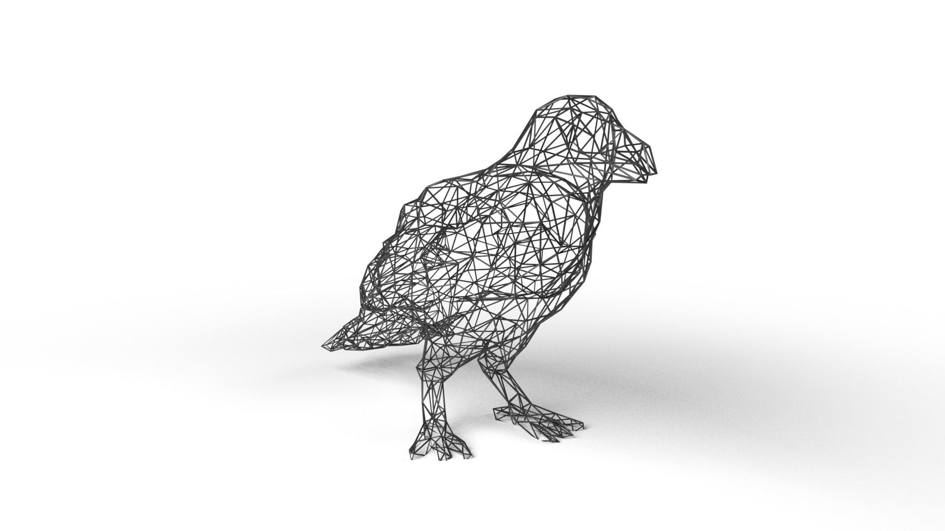 Crow Wireframe Low-poly 3D model_2