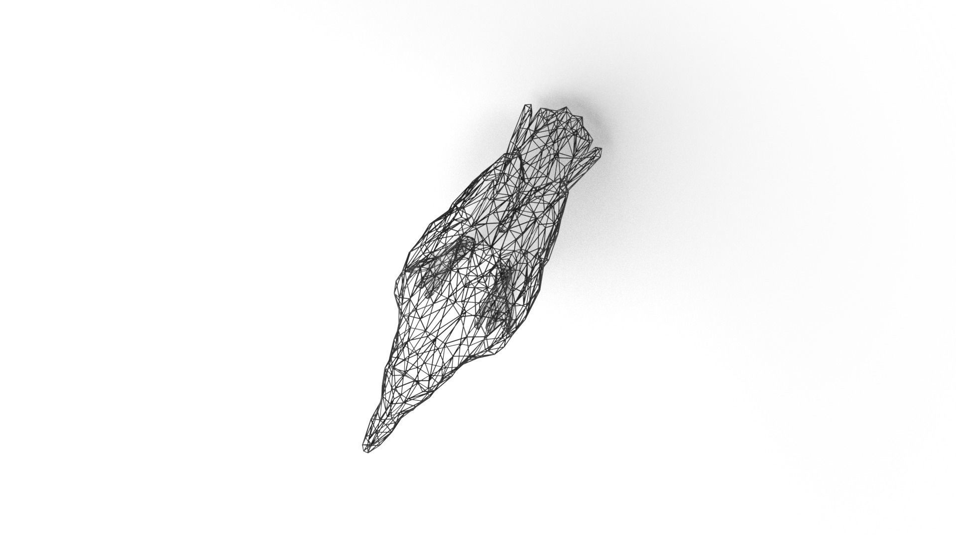 Crow Wireframe Low-poly 3D model_7