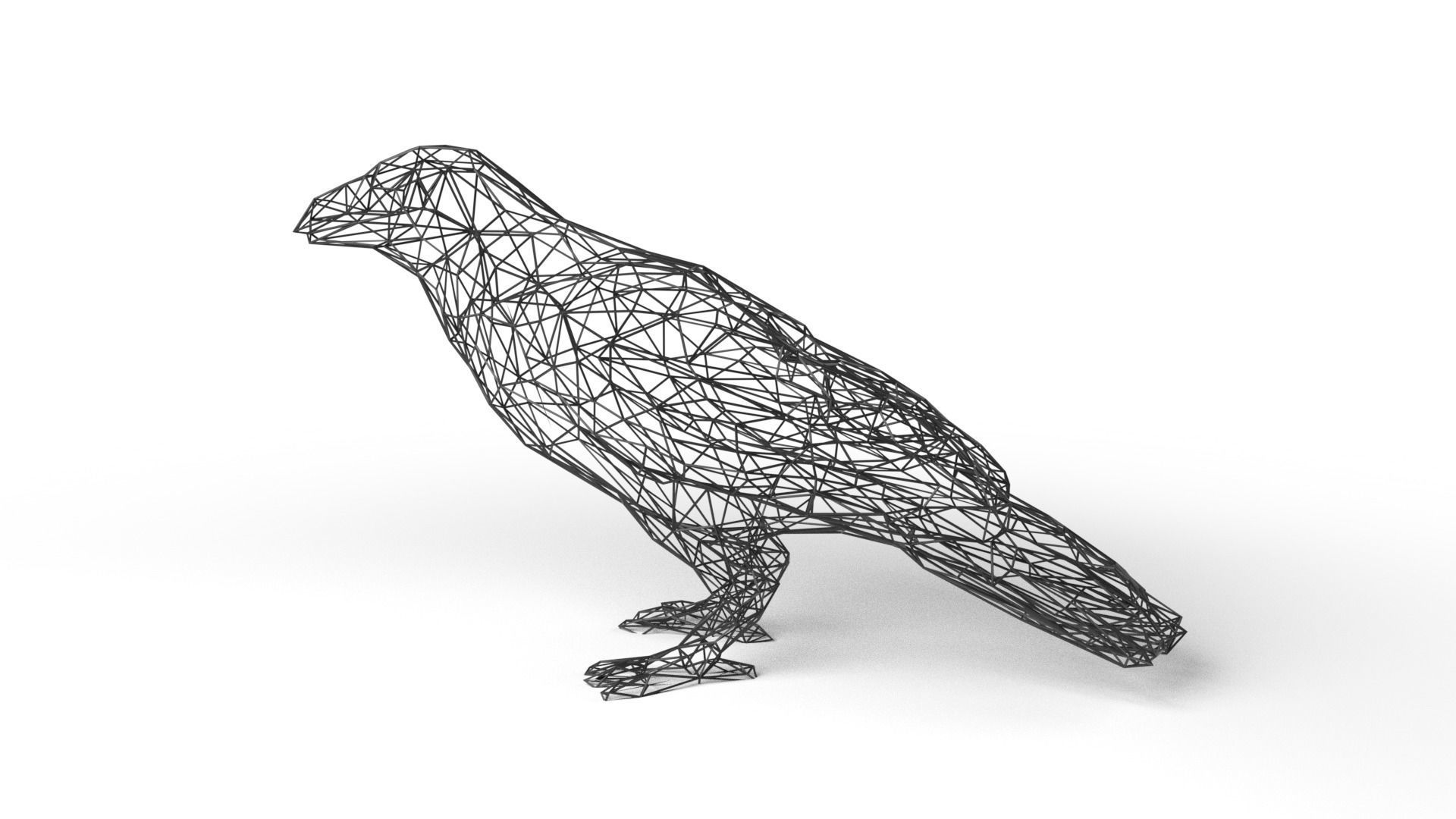 Crow Wireframe Low-poly 3D model_6