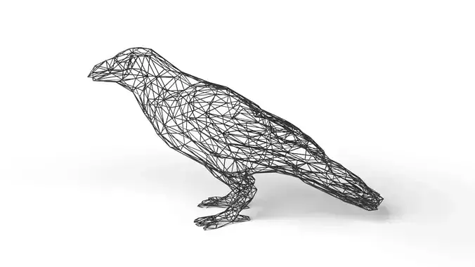 Crow Wireframe