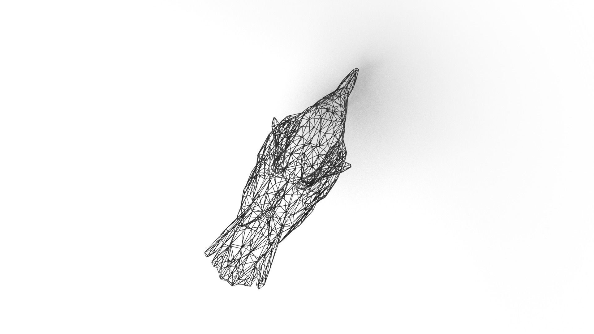 Crow Wireframe Low-poly 3D model_8