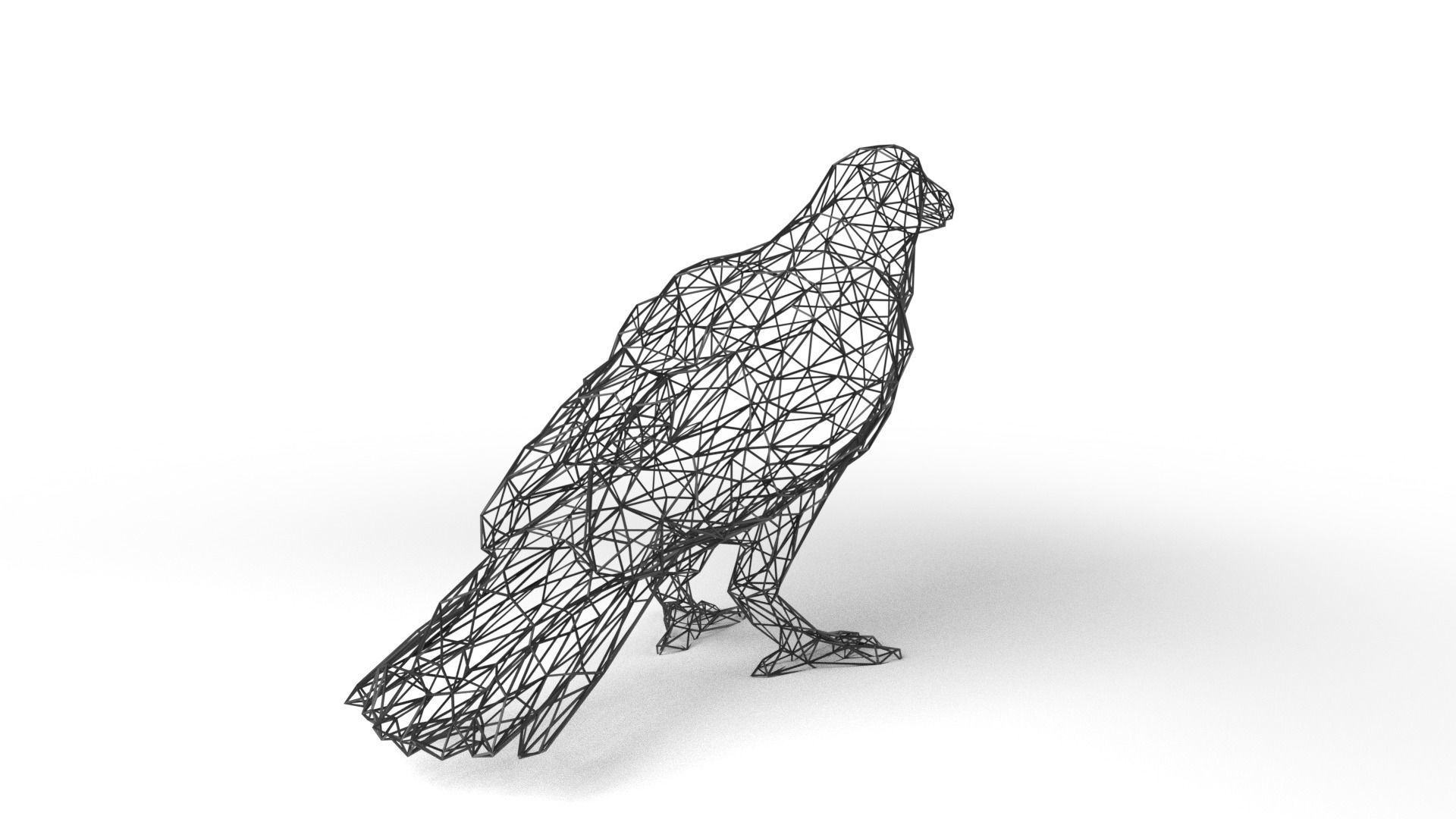 Crow Wireframe Low-poly 3D model_4