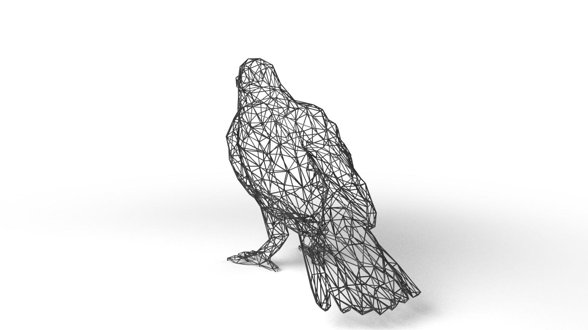 Crow Wireframe Low-poly 3D model_5