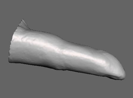 3D scanned right index finger 3D print model_2