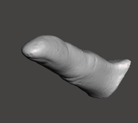 3D scanned right index finger 3D print model_1