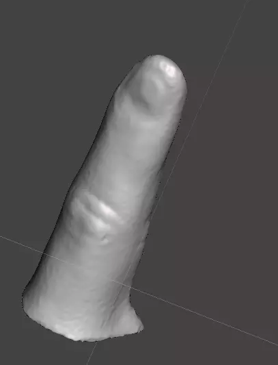 3D scanned right index finger 3D print model_0