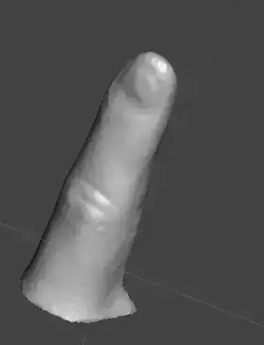 3D scanned right index finger 3D print model