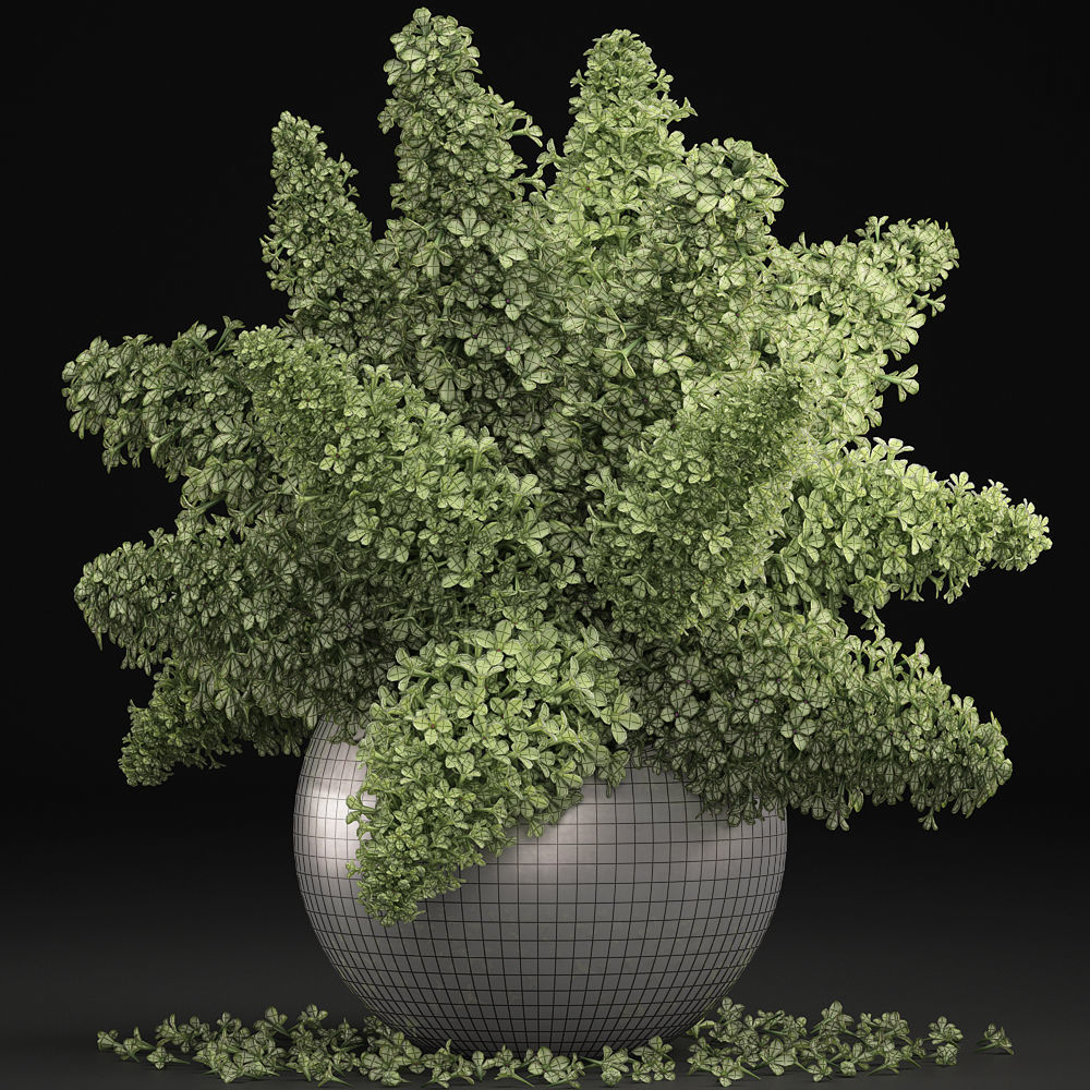 Bouquet of green lilacs in a vase 94A 3D model_6
