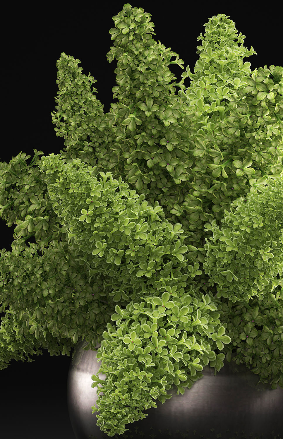 Bouquet of green lilacs in a vase 94A 3D model_4