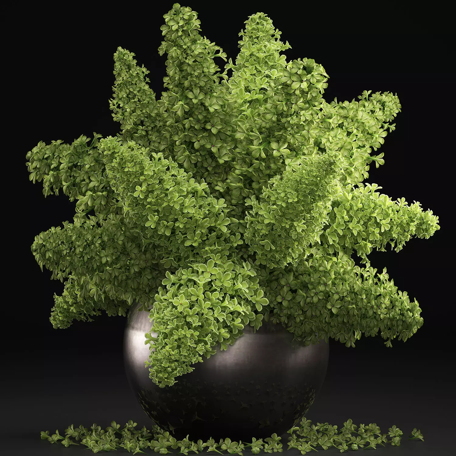 Bouquet of green lilacs in a vase 94A 3D model_0