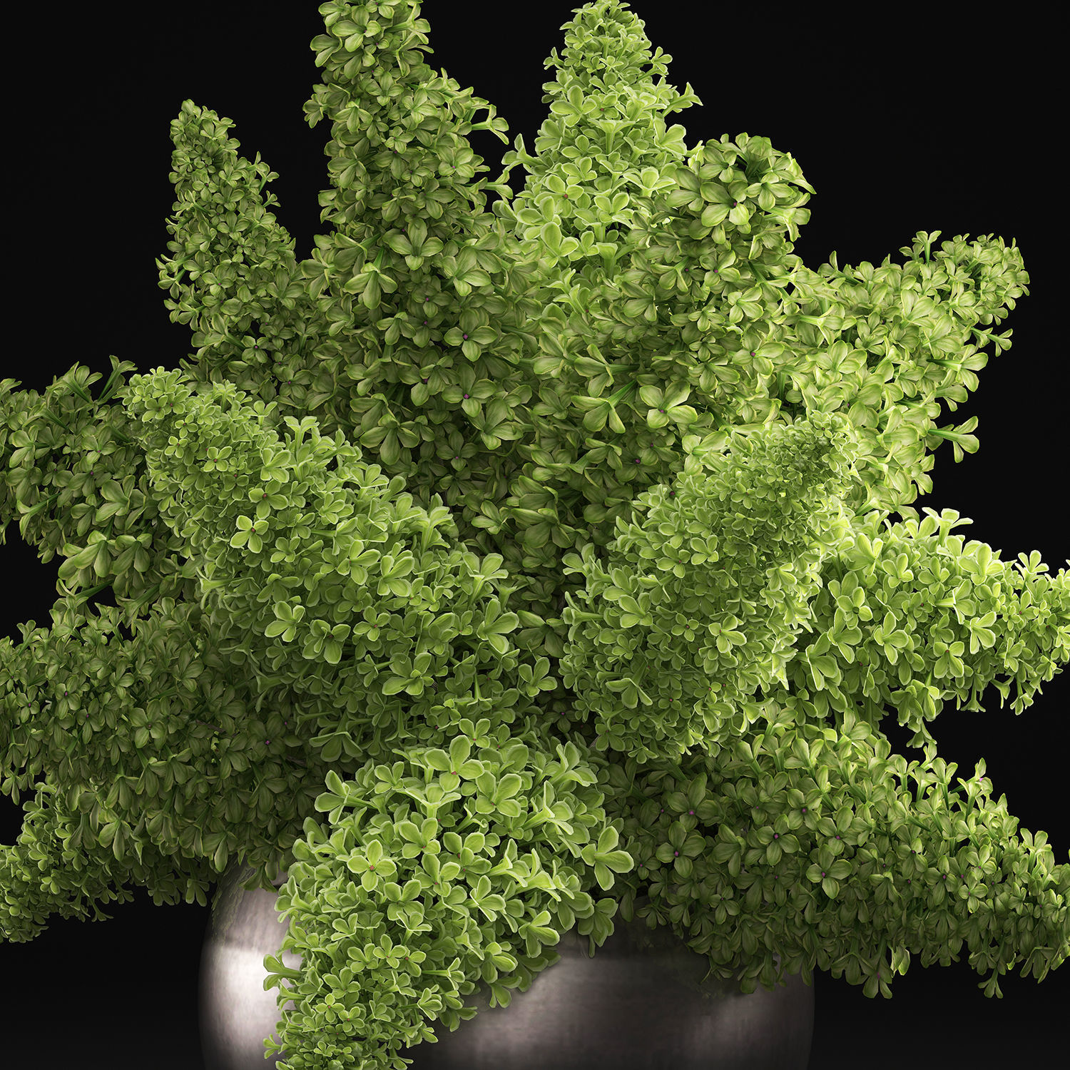 Bouquet of green lilacs in a vase 94A 3D model_1