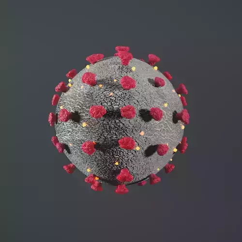 Covid-19 CoronaVirus