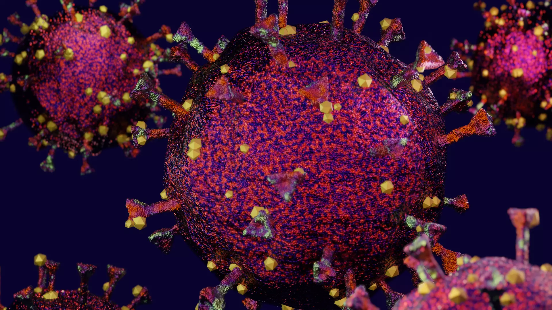 COVID-19 group of coronaviruses Low-poly 3D model