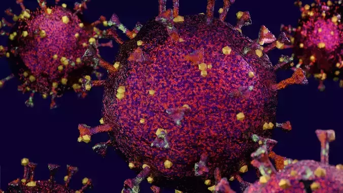 COVID-19 group of coronaviruses