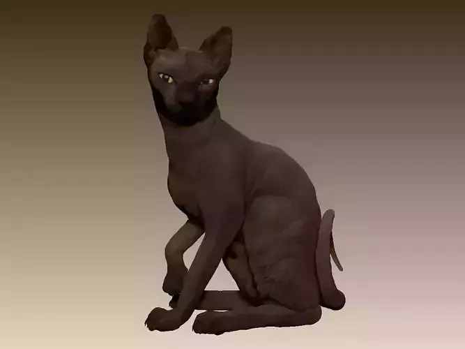 Sphinx cat 3D model
