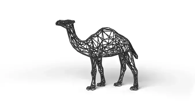Dromedary Wireframe
