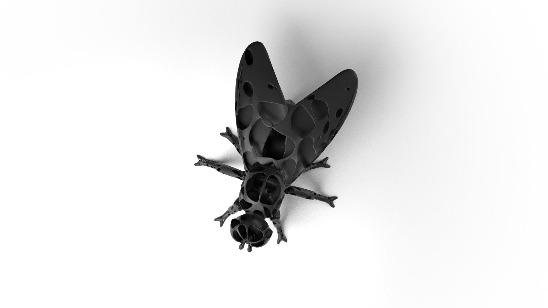 Fly Dust Voronoi Low-poly 3D model_7