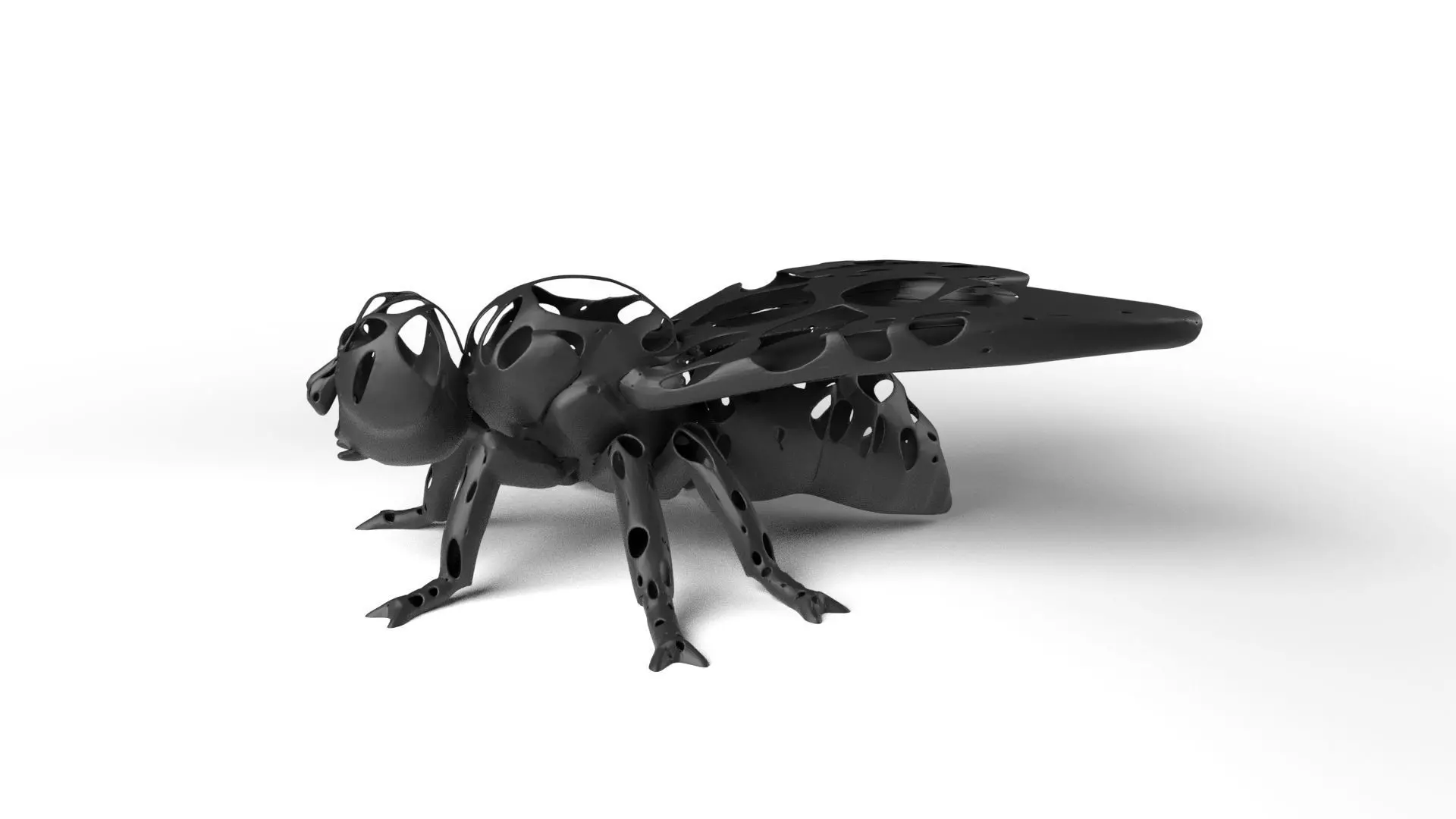 Fly Dust Voronoi Low-poly 3D model_0